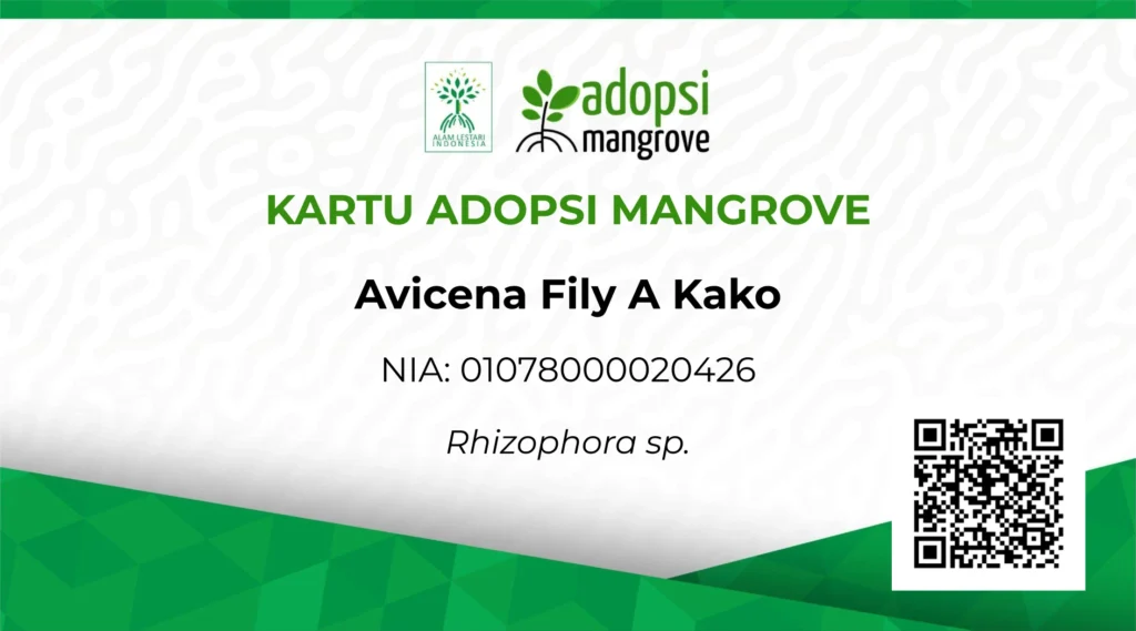 A green and white physical card with the "Adopsi Mangrove" logo, the text "KARTU ADOPSI MANGROVE," the name "Avicena Fily A Kako," ID number "0107900000020426," species "Rhizophora sp.", and a QR code.