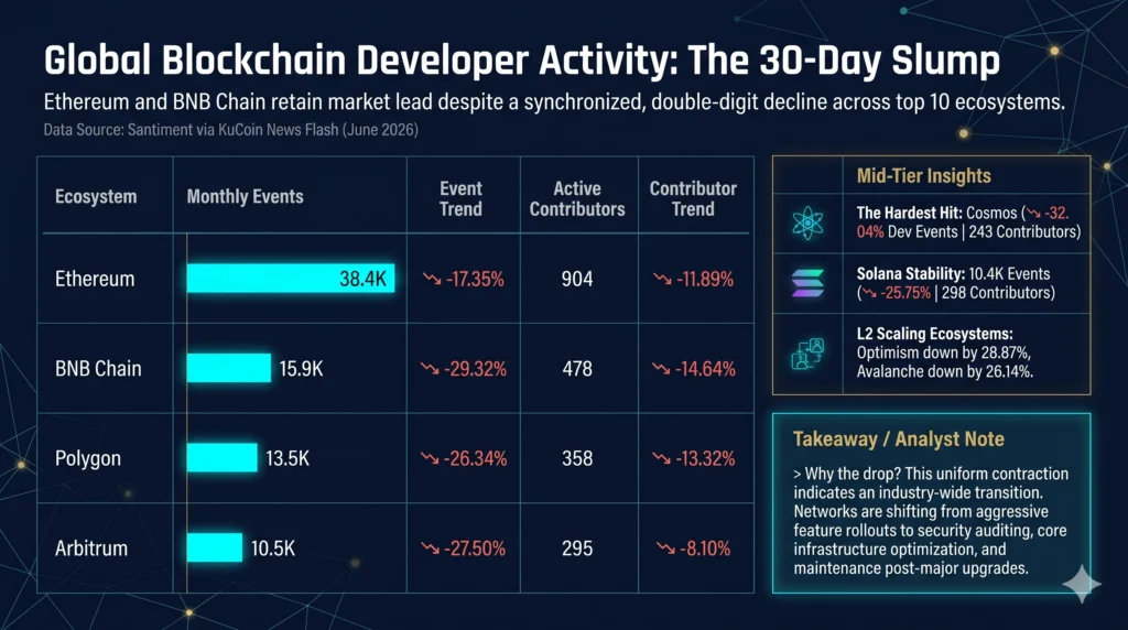 Global Blockchain Developer Activity The 30-Day Slump (June 2026 Data) - Infographic avicenafilyakako.com