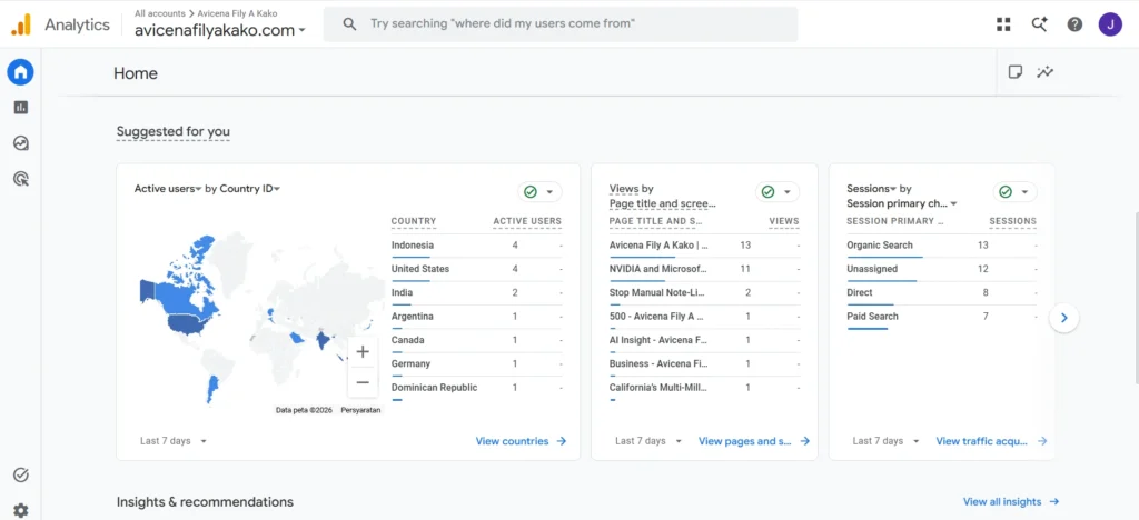 In a Day Google Analytics Active User