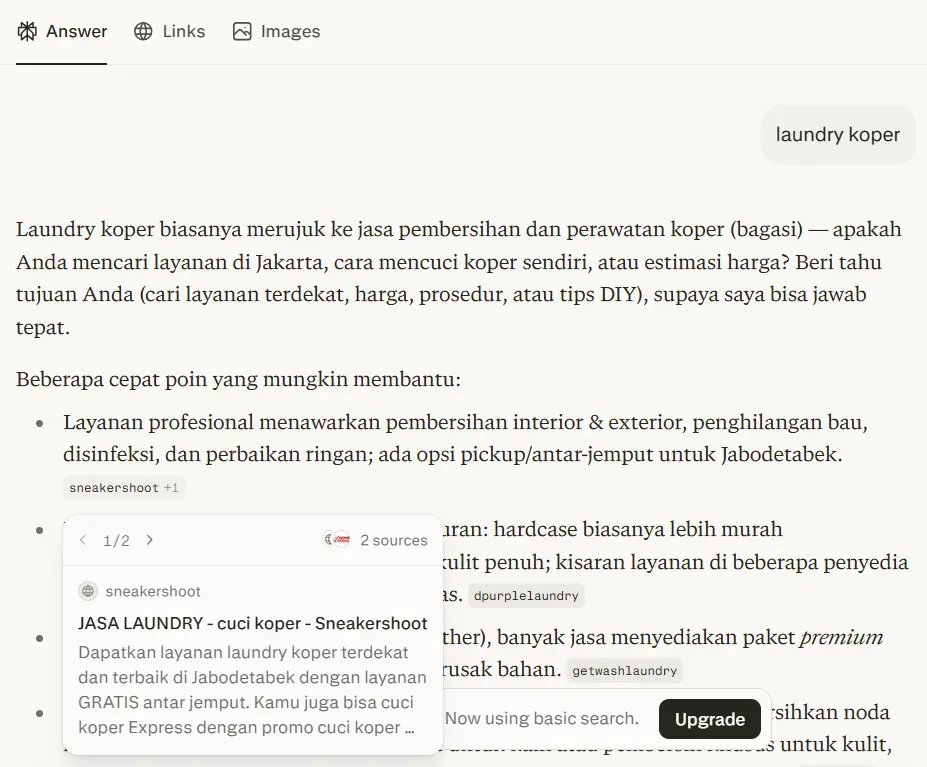 Search dashboard showing a citation source popup for Sneakershoot luggage laundry services.